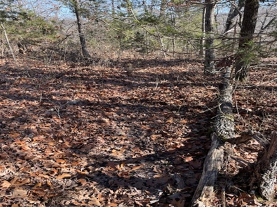 Southeast Facing Building Site On Wooded 37 Acre Ozark Mountain - image 5