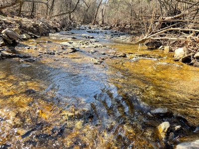 Southeast Facing Building Site On Wooded 37 Acre Ozark Mountain - image 8