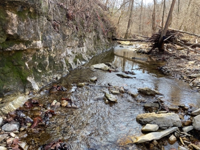 Southeast Facing Building Site On Wooded 37 Acre Ozark Mountain - image 17