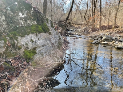 Southeast Facing Building Site On Wooded 37 Acre Ozark Mountain - image 13