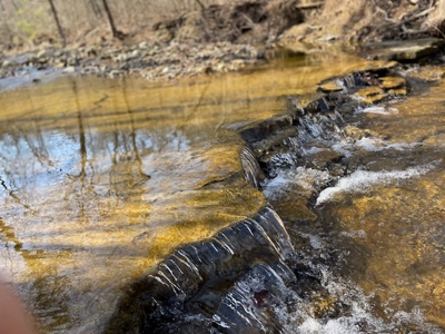 Southeast Facing Building Site On Wooded 37 Acre Ozark Mountain - image 16