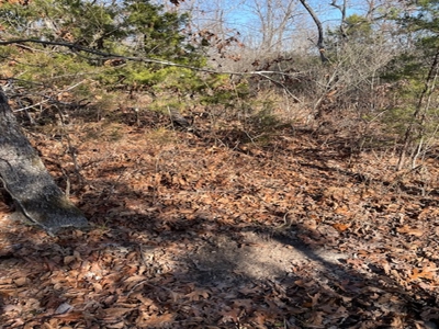 Southeast Facing Building Site On Wooded 37 Acre Ozark Mountain - image 6