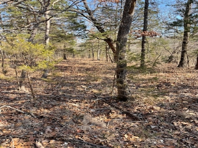 Southeast Facing Building Site On Wooded 37 Acre Ozark Mountain - image 4