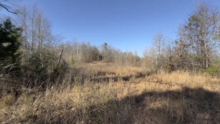 Hunting And Recreational Land For Sale In North Central Arkansas - image 12