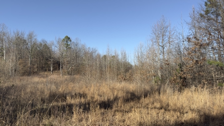 Hunting And Recreational Land For Sale In North Central Arkansas - image 13