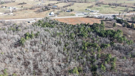 Hunting And Recreational Land For Sale In North Central Arkansas - image 2