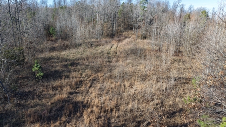 Hunting And Recreational Land For Sale In North Central Arkansas - image 5