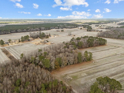 38-Acre Farm with Farmhouse & Barns in Pantego, NC - image 10
