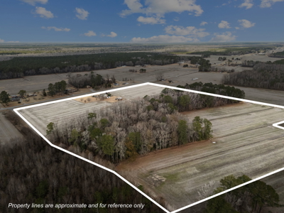 38-Acre Farm with Farmhouse & Barns in Pantego, NC - image 3