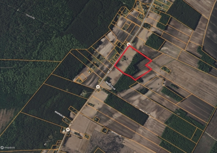 38-Acre Farm with Farmhouse & Barns in Pantego, NC - image 30