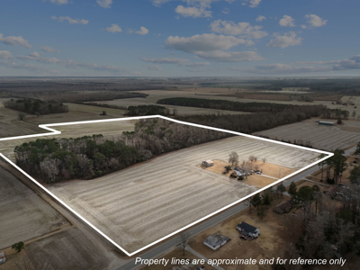 38-Acre Farm with Farmhouse & Barns in Pantego, NC - image 2
