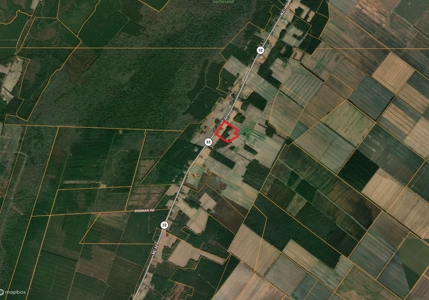 38-Acre Farm with Farmhouse & Barns in Pantego, NC - image 31