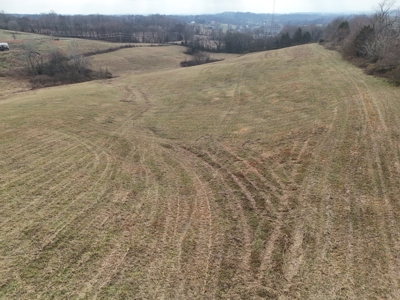 ONLINE ONLY AUCTION - 18.7 +/- acres in Tracts In Glasgow, KY - image 28