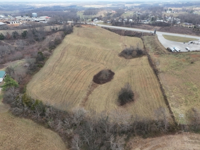 ONLINE ONLY AUCTION - 18.7 +/- acres in Tracts In Glasgow, KY - image 5