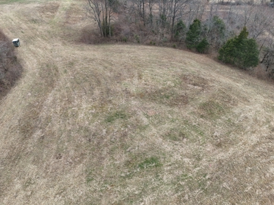 ONLINE ONLY AUCTION - 18.7 +/- acres in Tracts In Glasgow, KY - image 25