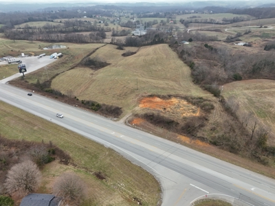ONLINE ONLY AUCTION - 18.7 +/- acres in Tracts In Glasgow, KY - image 9