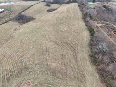 ONLINE ONLY AUCTION - 18.7 +/- acres in Tracts In Glasgow, KY - image 11