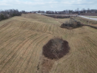 ONLINE ONLY AUCTION - 18.7 +/- acres in Tracts In Glasgow, KY - image 6
