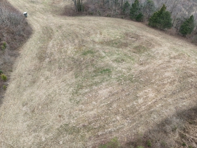 ONLINE ONLY AUCTION - 18.7 +/- acres in Tracts In Glasgow, KY - image 26