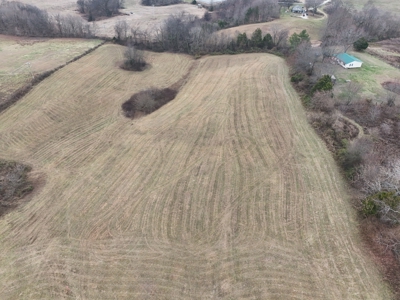 ONLINE ONLY AUCTION - 18.7 +/- acres in Tracts In Glasgow, KY - image 12