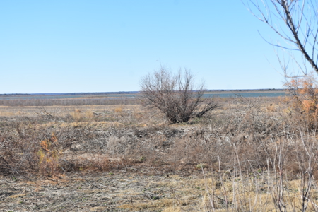 Residential Lot on Hubbard Creek Lake, Breckenridge TX for sale - image 6