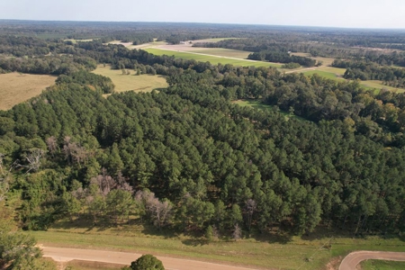 50 Acres on the Pearl River For Sale Simpson County Mississippi - image 4