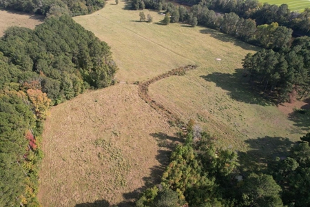 50 Acres on the Pearl River For Sale Simpson County Mississippi - image 7