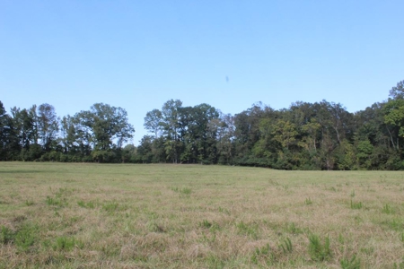 50 Acres on the Pearl River For Sale Simpson County Mississippi - image 17