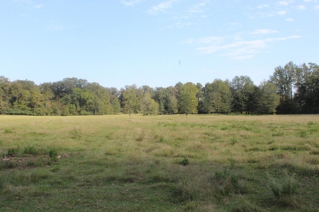 50 Acres on the Pearl River For Sale Simpson County Mississippi - image 15