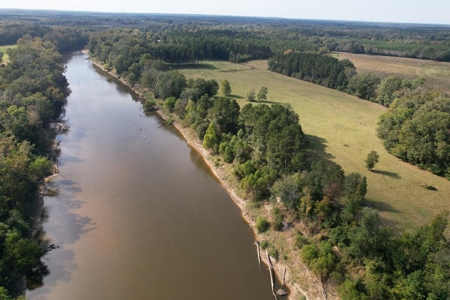 50 Acres on the Pearl River For Sale Simpson County Mississippi - image 5