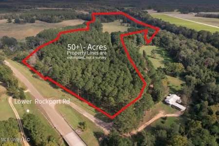50 Acres on the Pearl River For Sale Simpson County Mississippi - image 18