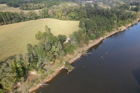 50 Acres on the Pearl River For Sale Simpson County Mississippi - image 11