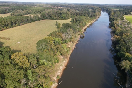 50 Acres on the Pearl River For Sale Simpson County Mississippi - image 1