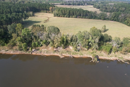 50 Acres on the Pearl River For Sale Simpson County Mississippi - image 12
