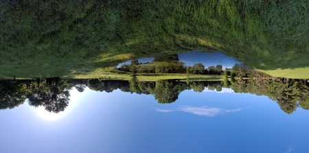 East Texas Land for Sale - Secluded Acreage with Pond, Utilities - image 5