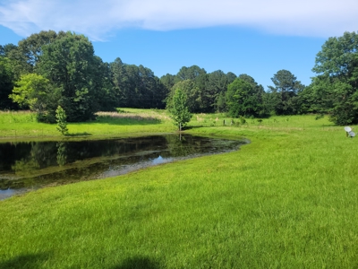 East Texas Land for Sale - Secluded Acreage with Pond, Utilities - image 8