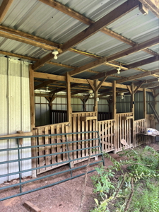 East Texas Land for Sale - Secluded Acreage with Pond, Utilities - image 10