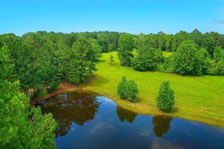 East Texas Land for Sale - Secluded Acreage with Pond, Utilities - image 1
