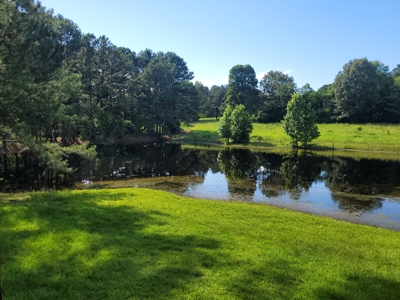 East Texas Land for Sale - Secluded Acreage with Pond, Utilities - image 7