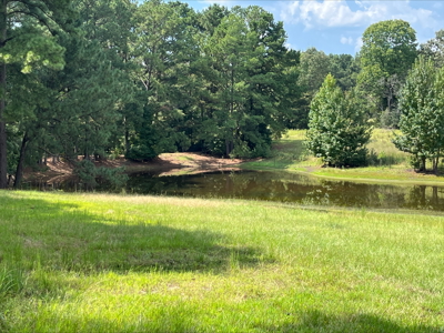 East Texas Land for Sale - Secluded Acreage with Pond, Utilities - image 15