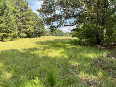 East Texas Land for Sale - Secluded Acreage with Pond, Utilities - image 14
