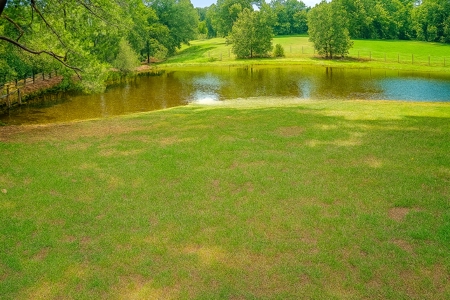 East Texas Land for Sale - Secluded Acreage with Pond, Utilities - image 3