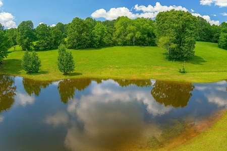 East Texas Land for Sale - Secluded Acreage with Pond, Utilities - image 2