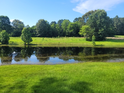 East Texas Land for Sale - Secluded Acreage with Pond, Utilities - image 6