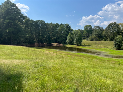 East Texas Land for Sale - Secluded Acreage with Pond, Utilities - image 13