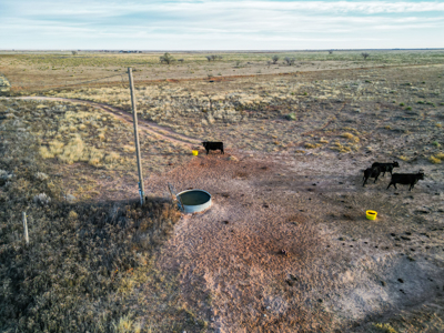 Farming, Ranching and Conservation Tracts for Sale in NM and TX - image 46