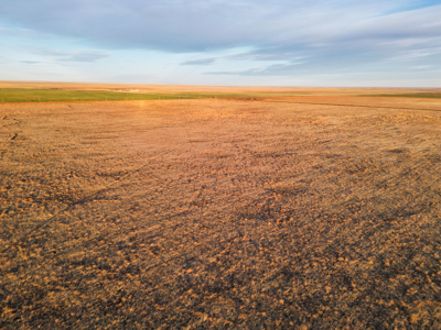 Farming, Ranching and Conservation Tracts for Sale in NM and TX - image 47