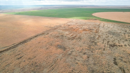 Farming, Ranching and Conservation Tracts for Sale in NM and TX - image 10