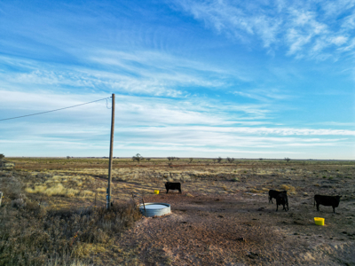 Farming, Ranching and Conservation Tracts for Sale in NM and TX - image 45
