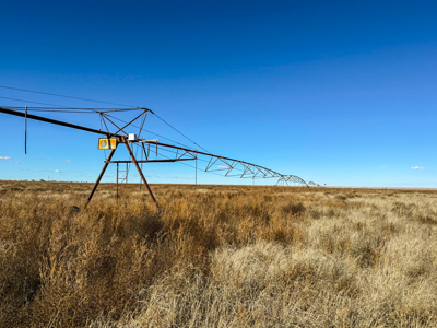 Farming, Ranching and Conservation Tracts for Sale in NM and TX - image 28